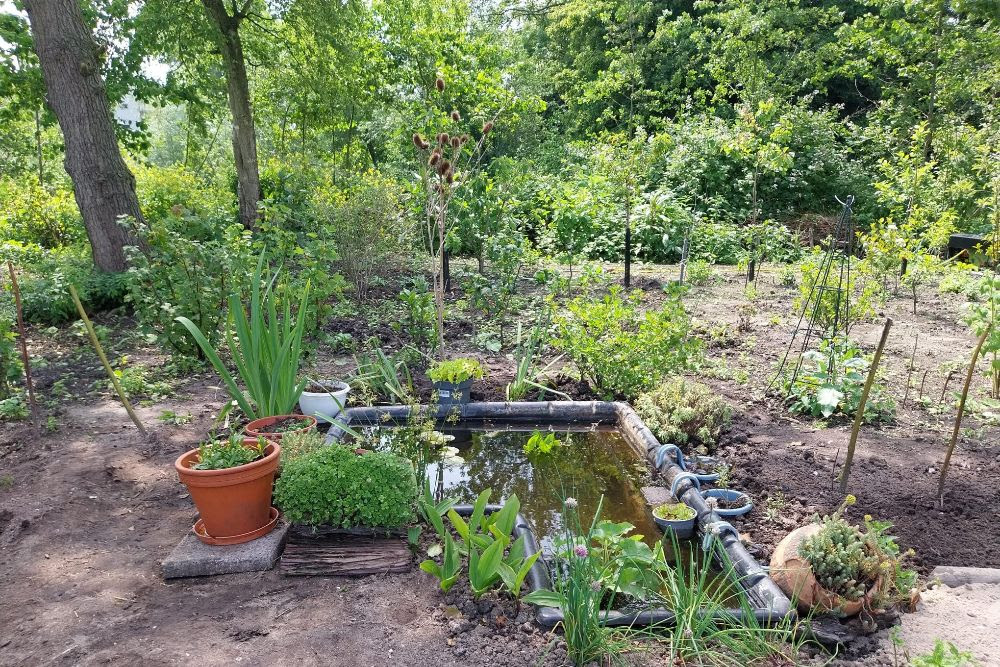 voedselbos schotertuin